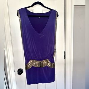 Royal Purple Dress Bebe Sz X-small